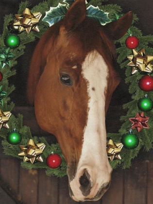 Picture of MERRY STEED