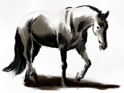 Picture of ARTISTIC HORSE