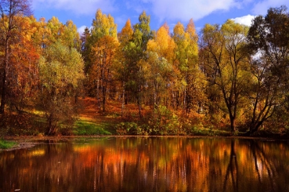 Picture of AUTUMN REFLECTIONS