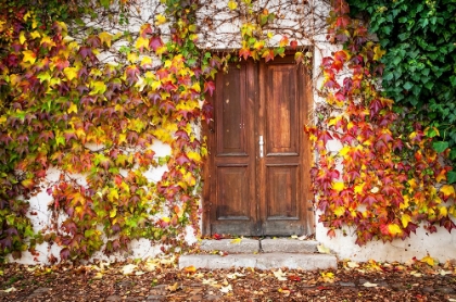 Picture of AUTUMN WOODEN DOORWAY IN PRAGUE