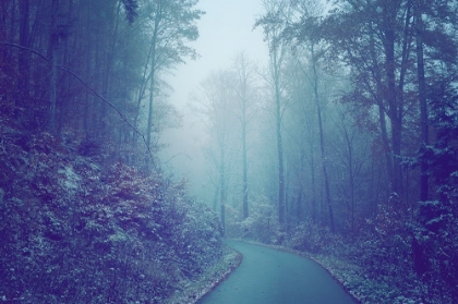 Picture of BLUE WOODS MISTY WAY