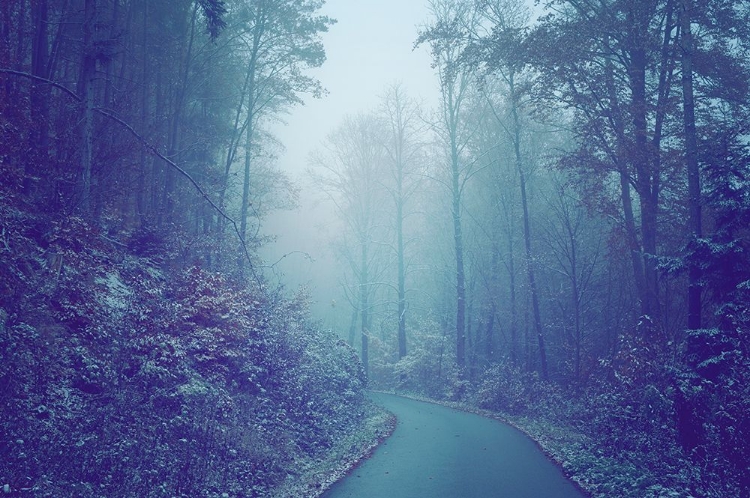Picture of BLUE WOODS MISTY WAY