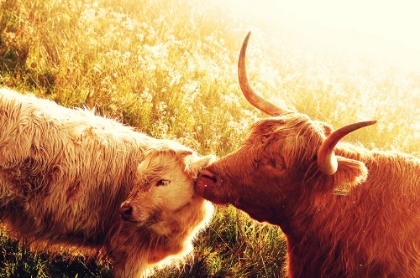 Picture of FENELLA WITH HER DAUGHTER