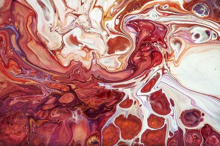 Picture of FLUID ACRYLIC BRINGING INTO LIFE 1