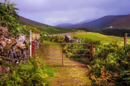 Picture of GATES ON THE ROAD AT WICKLOW HILLS IRELAND