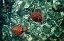 Picture of SEA TURTLES IN CRYSTAL WATER