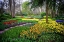 Picture of COLORFUL CORNER KEUKENHOF TULIPS GARDEN 4