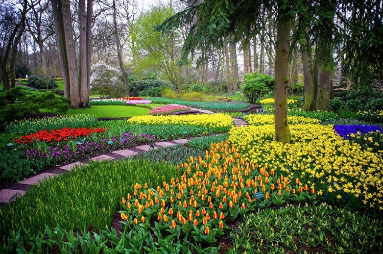 Picture of COLORFUL CORNER KEUKENHOF TULIPS GARDEN 4