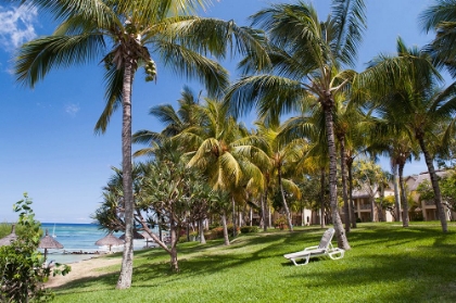 Picture of TROPICAL BEACH IN MAURITIUS