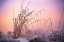 Picture of MAGIC WINTER MOMENTS 3