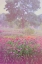 Picture of MONET SPRING