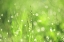 Picture of MORNING FAIRIES