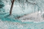 Picture of POND UNDER THE SHADOW WILLOW