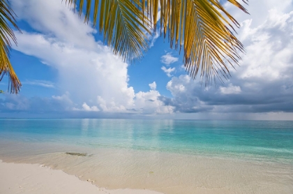 Picture of POSTCARD PERFECTION MALDIVES