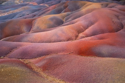 Picture of SEVEN COLORED EARTH OF CHAMAREL
