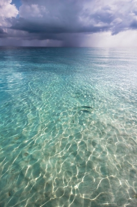 Picture of SOMEWHERE IS RAINY