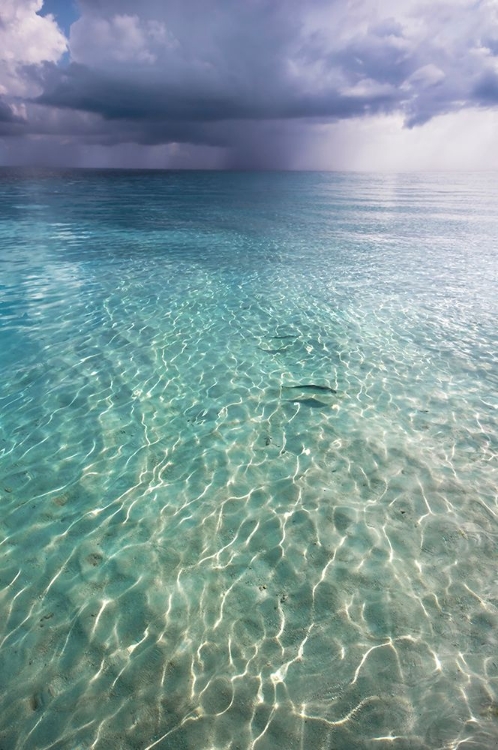 Picture of SOMEWHERE IS RAINY
