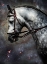 Picture of THE HORSE AMONG THE STARS