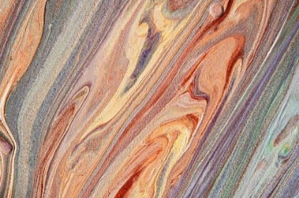 Picture of FLUID ACRYLIC MULTICOLORED FLOWS