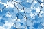 Picture of BLUE LEAVES 4