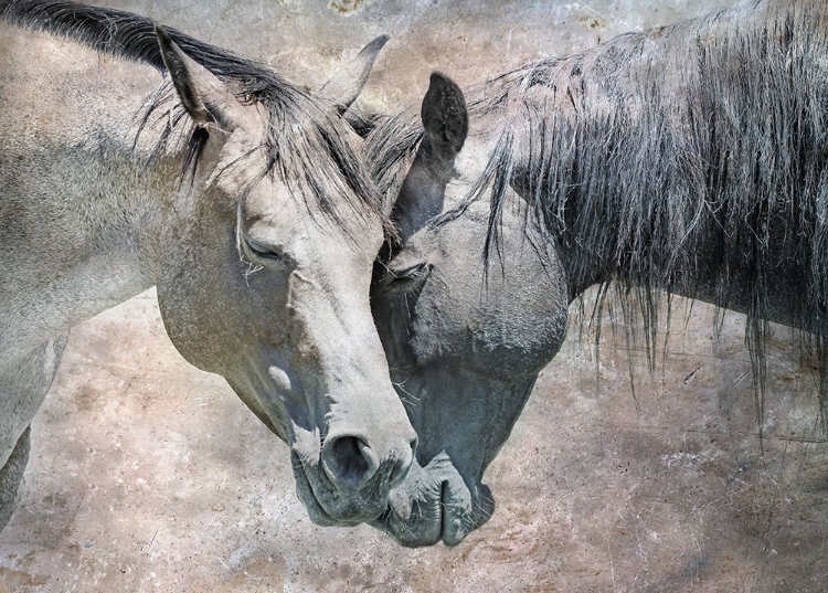 Picture of HORSE LOVE RUSTIC