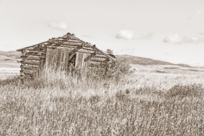 Picture of OLD LOG CABIN SEPIA