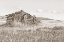 Picture of OLD LOG CABIN SEPIA