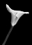 Picture of CALLA LILY FLOWER BLACK AND WHITE 1