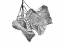 Picture of LEAVES DRIED BLACK AND WHITE