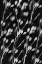 Picture of SEED PODS ABSTRACT BLACK AND WHITE