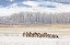 Picture of ELK HERD IN WINTER LANDSCAPE