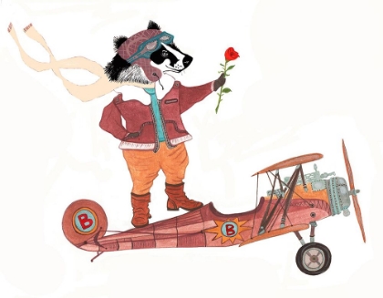 Picture of BADGER PILOT