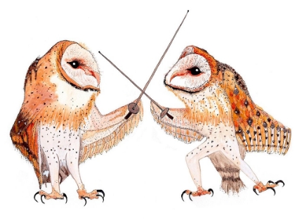 Picture of DUELING OWLS