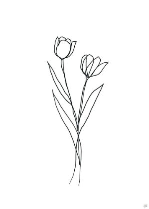 Picture of LINE TULIPS 1
