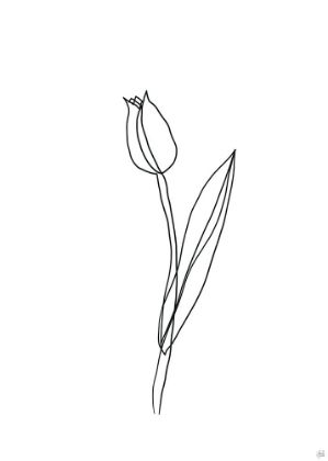Picture of LINE TULIPS 2