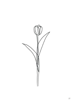 Picture of LINE TULIPS 3
