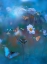 Picture of BLUE GARDEN