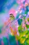 Picture of GLITTER GARDEN