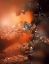 Picture of ORANGE GLOW