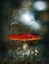 Picture of MUSHROOM FANTASY