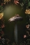 Picture of MUSHROOM MEDLEY