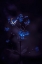 Picture of NIGHTMARE WONDERS