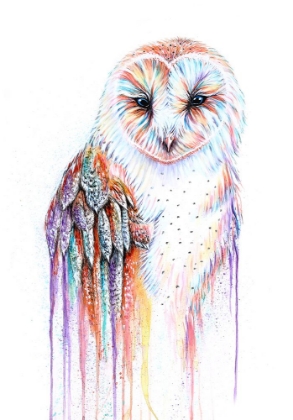 Picture of BARRED RAINBOW OWL