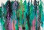Picture of COLORFUL FOREST