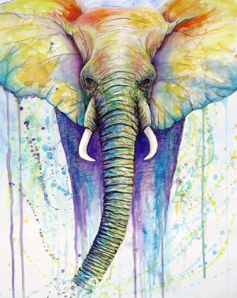 Picture of ELEPHANT COLORS