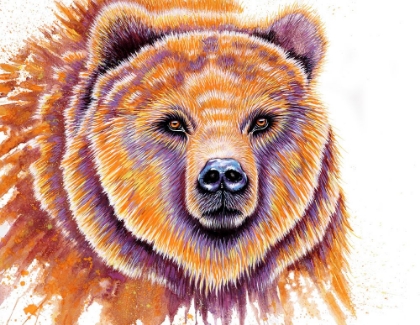 Picture of GRIZZLY BEAR