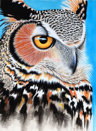 Picture of GREAT HORNED OWL EYE