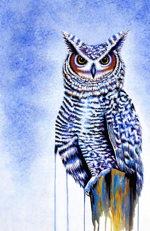 Picture of GREAT HORNED OWL IN BLUE