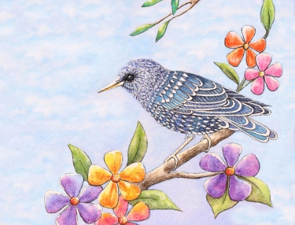 Picture of STARLING BIRD WITH FLOWERS