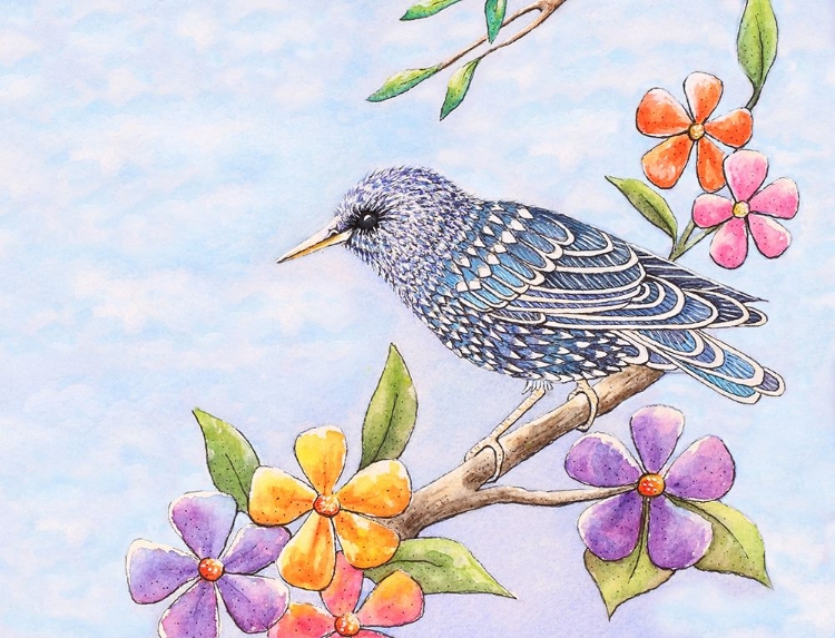 Picture of STARLING BIRD WITH FLOWERS